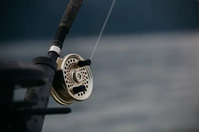 Fishing lure and rod. 