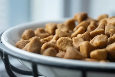 Healthy pet food sitting in a white bowl. The pet food was sourced and made in America. 
