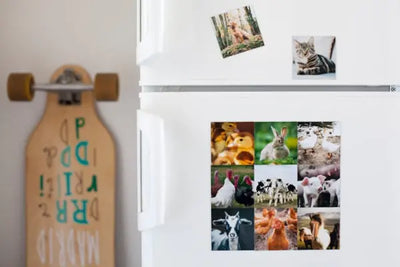Magnets on a white fridge