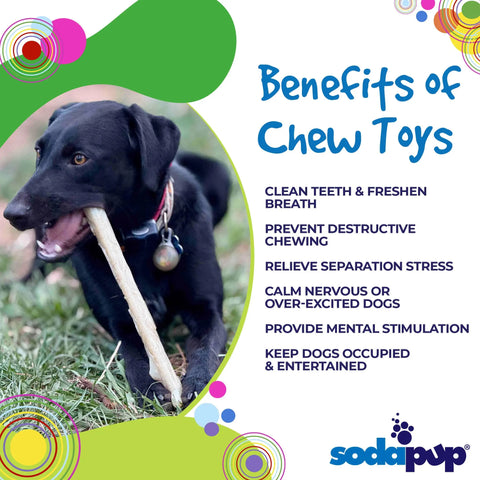 11.5 Inch Durable Nylon Dog Chew Stick – Safe Non-Toxic Toy | Made in USA SodaPup  Nylon Dog Toys