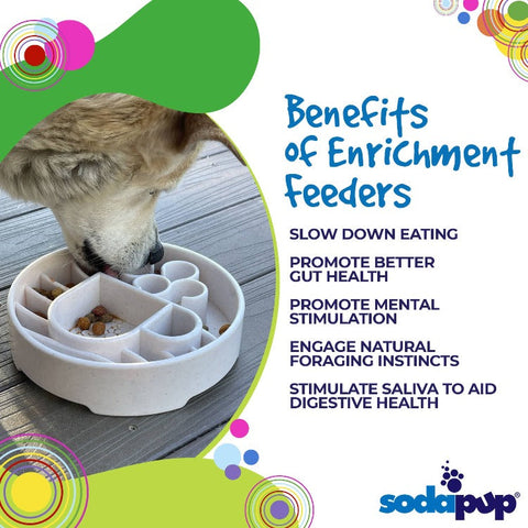 SodaPup Java Enrichment Slow Feeder Bowl for Dogs – Mental Stimulation | Made in USA SodaPup  EBOWL