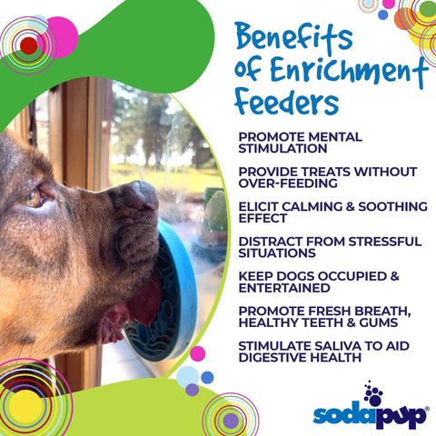 Turtle Mini Pet Enrichment Lick Mat With Suction Cups – Slow Feeder Toy | Made in USA SodaPup  EMAT