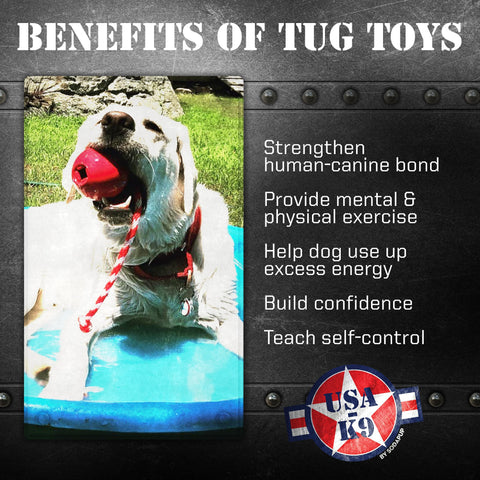 USA-K9 Cherry Bomb Durable Rubber Dog Chew Toy – Treat Dispenser Tug Toy | Made in USA SodaPup  Rubber Dog Toys