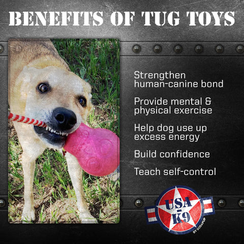 USA-K9 Durable Rubber Skull Dog Chew Toy – Tug and Treat Dispenser | Made in USA SodaPup  Rubber Dog Toys