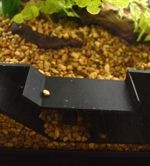 Chatelet Black Aquarium Shrimp Tunnel – Fish Hideout Decor | Made in USA Chatelet Manufacturing 