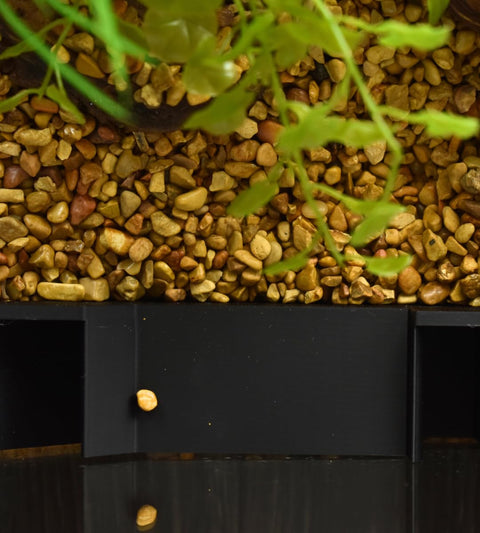 Chatelet Black Aquarium Shrimp Tunnel – Fish Hideout Decor | Made in USA Chatelet Manufacturing 