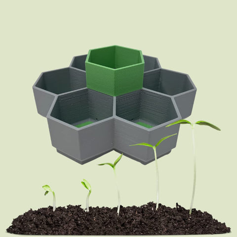 Honeycomb Seed Starter Tray Set – 6-Cell Self Watering Planter | Eco-Friendly Reusable Gardening Kit Made in USA Chatelet Manufacturing 