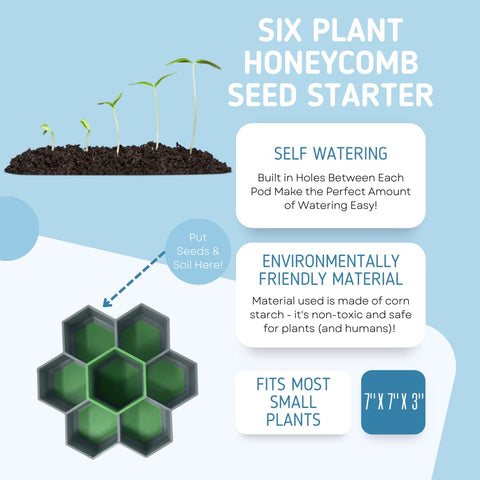 Honeycomb Seed Starter Tray Set – 6-Cell Self Watering Planter | Eco-Friendly Reusable Gardening Kit Made in USA Chatelet Manufacturing 
