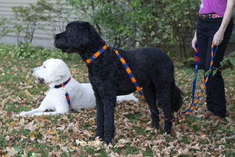 A Tail We Could Wag Leash - Game Day Auburn Leathercrafters  item