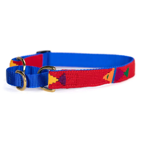 A Tail We Could Wag Martingale Dog Collar Auburn Leathercrafters  item