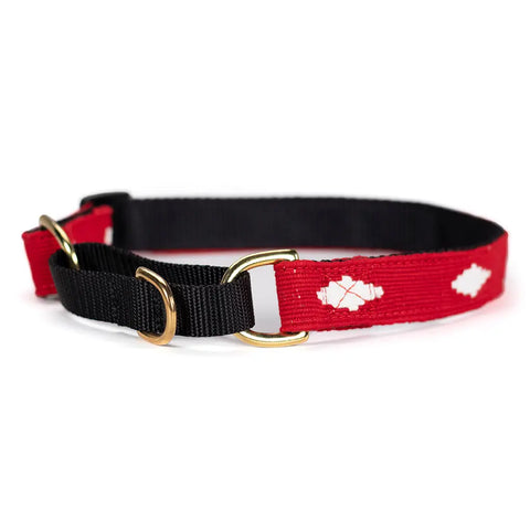 A Tail We Could Wag Martingale Dog Collar Auburn Leathercrafters  item