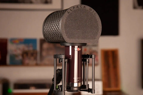 A close-up of the Alpaca Mic studio condenser microphone from Alpaca Mic, with a black pop filter, alpaca felt lining for pro-quality sound, and a shock mount; blurred shelves and wall art are seen in the background.