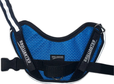 BrilliantK9 Lightweight Small Dog Harness 10-20 Lbs – Breathable Mesh | Made in USA BrilliantK9  Dog Harness