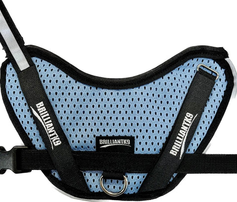BrilliantK9 Lightweight Small Dog Harness 10-20 Lbs – Breathable Mesh | Made in USA BrilliantK9  Dog Harness