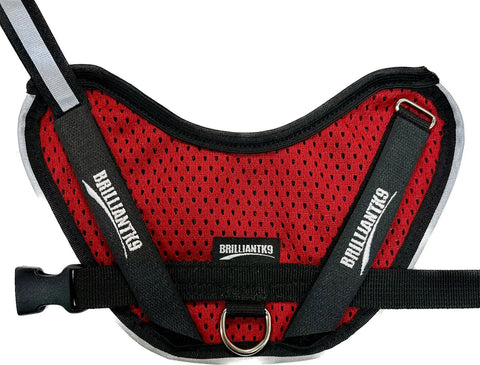 BrilliantK9 Lightweight Small Dog Harness 10-20 Lbs – Breathable Mesh | Made in USA BrilliantK9  Dog Harness