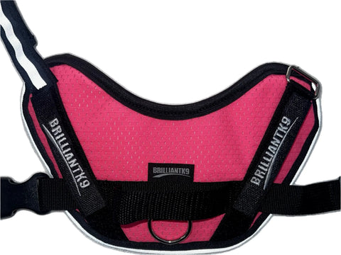 BrilliantK9 Lightweight Small Dog Harness 10-20 Lbs – Breathable Mesh | Made in USA BrilliantK9  Dog Harness