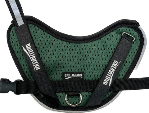 BrilliantK9 Lightweight Small Dog Harness 10-20 Lbs – Breathable Mesh | Made in USA BrilliantK9  Dog Harness