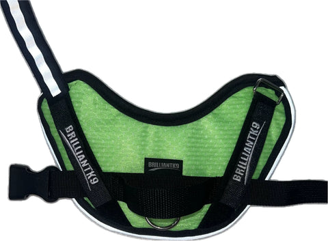 BrilliantK9 Lightweight Small Dog Harness 10-20 Lbs – Breathable Mesh | Made in USA BrilliantK9  Dog Harness