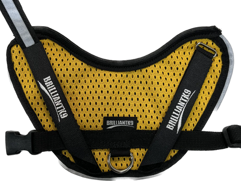 BrilliantK9 Small Dog Harness 10lbs Lightweight Mesh Design – Ergonomic Fit | Made in USA BrilliantK9  Dog Harness