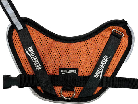 BrilliantK9 Small Dog Harness 10lbs Lightweight Mesh Design – Ergonomic Fit | Made in USA BrilliantK9  Dog Harness