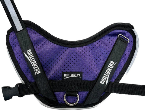 BrilliantK9 Small Dog Harness 10lbs Lightweight Mesh Design – Ergonomic Fit | Made in USA BrilliantK9  Dog Harness