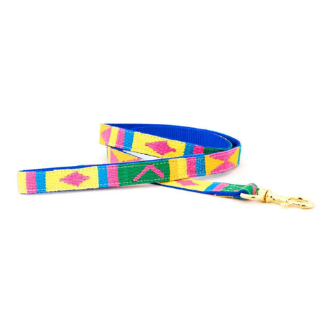 Colorful Handwoven Nylon Dog Leash – Durable Standard Pet Leash with Solid Brass Hardware | Made in USA Auburn Leathercrafters  item