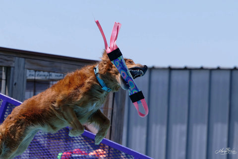 Dock Diving Weighted Bumper Tug – Custom Competition Training Toy | Made in USA Bulletproof Pet Products Inc  DOCK TUG
