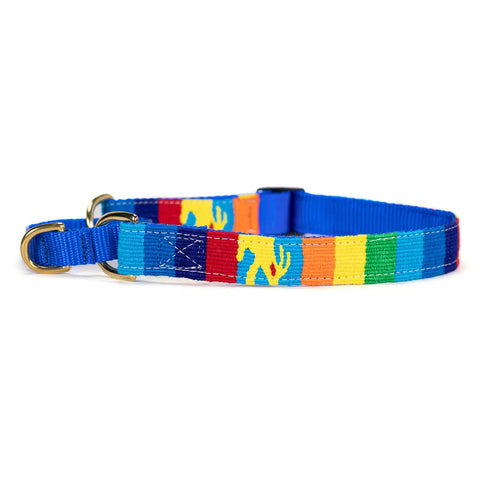 Handcrafted Fiesta Martingale Dog Collar – Adjustable 11-30 Inch – Durable Nylon & Brass Hardware | Made in USA Auburn Leathercrafters  item