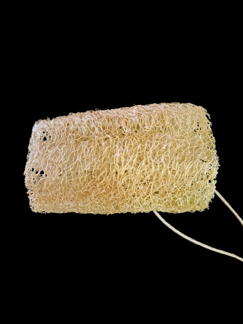Handmade 3 to 3.5 Inch Natural Loofah Exfoliating Sponges with Hanging Yarn – Sustainable Bath Care | Made in USA by Frances Farm & Craft Frances Farm & Craft 