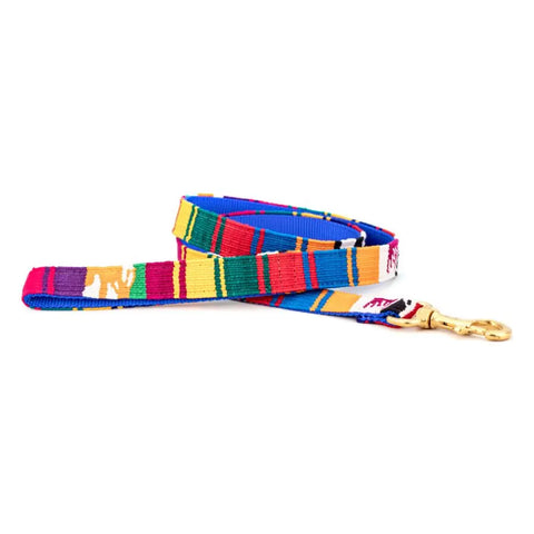 Handwoven Colorful Dog Leash – Durable Nylon Backing with Brass Hardware | Made in USA Artisan Pet Leash Auburn Leathercrafters  item