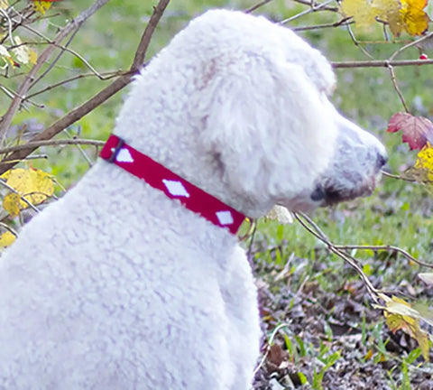 Handwoven Diamond Pattern Dog Leash – Durable Nylon with Brass Hardware | Made in USA Premium Pet Leash Auburn Leathercrafters  item
