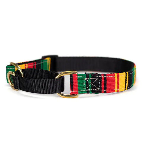 Handwoven Martingale Dog Collar 1 Inch Wide Adjustable 11-30 Inch – Durable Nylon & Brass | Made in USA Auburn Leathercrafters  item