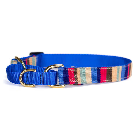 Handwoven Martingale Dog Collar 1 Inch Wide Adjustable 11-30 Inch – Durable Nylon & Brass | Made in USA Auburn Leathercrafters  item