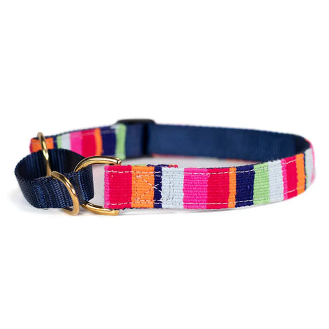 Handwoven Martingale Dog Collar 1 Inch Wide Adjustable 11-30 Inch – Durable Nylon & Brass | Made in USA Auburn Leathercrafters  item