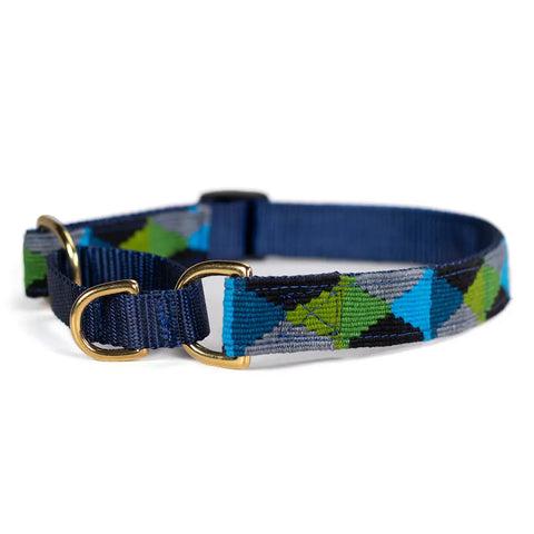 Handwoven Martingale Dog Collar 1 Inch Wide Adjustable 11-30 Inch – Durable Nylon & Brass | Made in USA Auburn Leathercrafters  item
