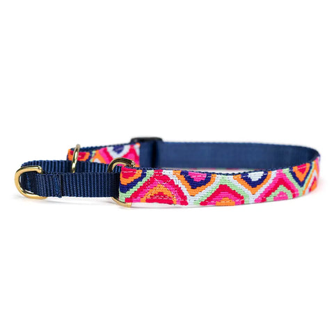 Handwoven Martingale Dog Collar 1 Inch Wide Adjustable 11-30 Inch – Durable Nylon & Brass | Made in USA Auburn Leathercrafters  item