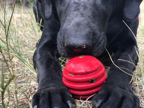 USA-K9 Durable Rubber Chew Ball – Tough Dog Toy for Power Chewers | Made in USA SodaPup  Rubber Dog Toys