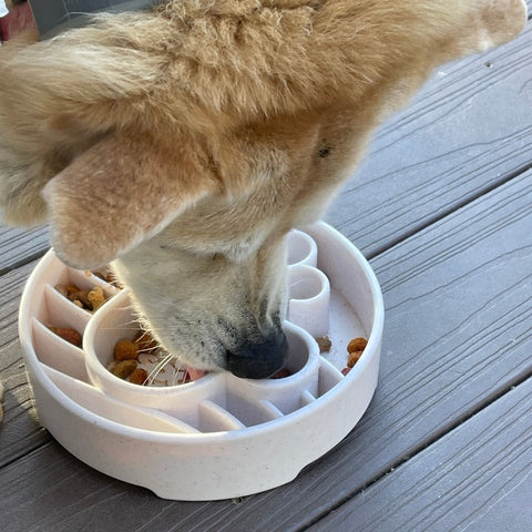 SodaPup Java Enrichment Slow Feeder Bowl for Dogs – Mental Stimulation | Made in USA SodaPup  EBOWL