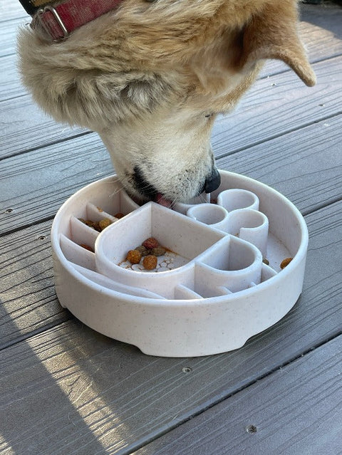 SodaPup Java Enrichment Slow Feeder Bowl for Dogs – Mental Stimulation | Made in USA SodaPup  EBOWL
