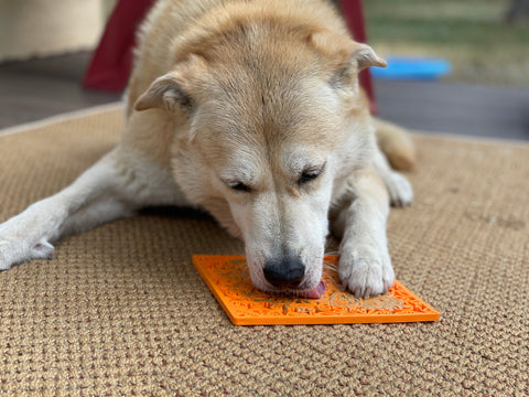 SodaPup Zombie Design Enrichment Lick Mat – Food Safe Pet Feeder | Made in USA SodaPup  EMAT