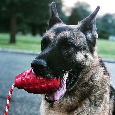 USA-K9 Grenade Durable Rubber Dog Chew Toy – Tug & Treat Dispenser | Made in USA SodaPup  Rubber Dog Toys