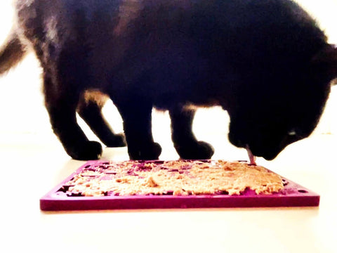 Fishy Design Enrichment Lick Mat – Small 8x6 Inch – Pet Feeding Aid | Made in USA SodaPup  EMAT