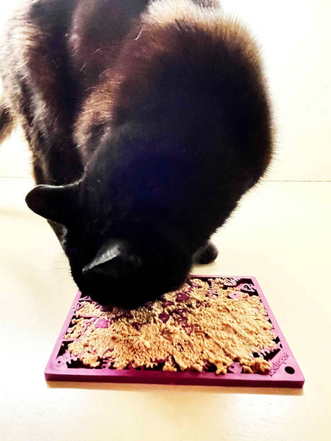 Fishy Design Enrichment Lick Mat – Small 8x6 Inch – Pet Feeding Aid | Made in USA SodaPup  EMAT