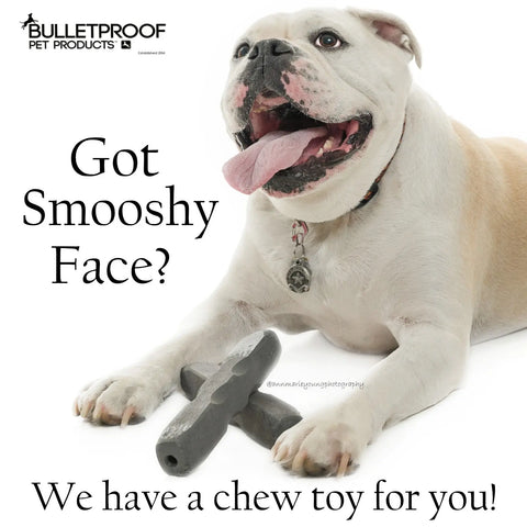Indestructibone Smooshy Face Chew Toy – Durable Dog Toy for 40-80 Lbs Brachycephalic Breeds | Made in USA Bulletproof Pet Products Inc  Indestructibone chew toys