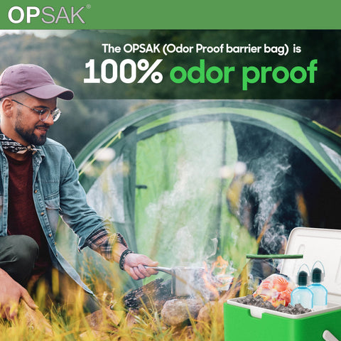 Loksak Opsak Odorproof Resealable Dry Bags 9x10 Inch 2-Pack – Waterproof Storage | Made in USA LOKSAK  Purchase