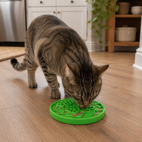 SodaPup Durable Nylon Dog Enrichment Feeder – Air eCoin Design | Made in USA SodaPup  ECOIN