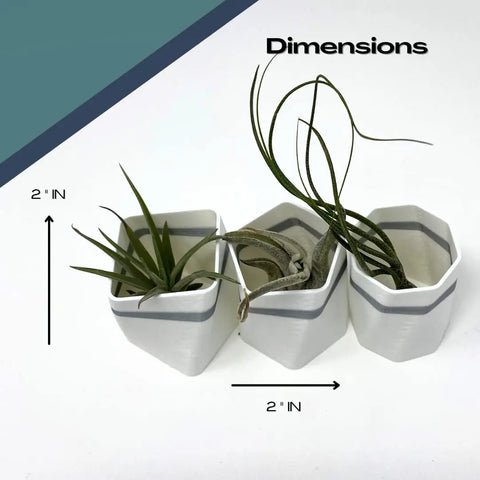 Set of 3 White Air Plant Planter Magnets 2 Inch – Made in USA Chatelet Manufacturing 