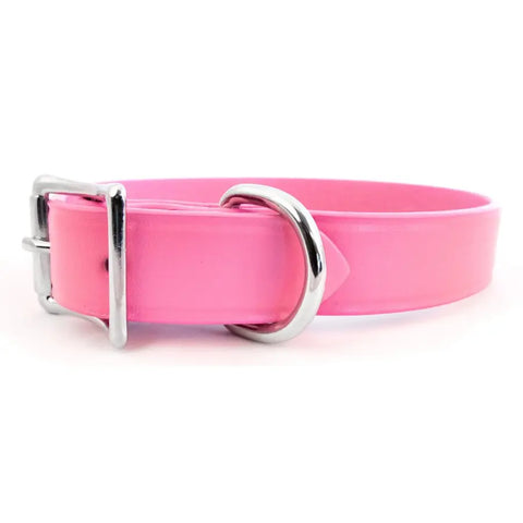 Town Collar - Pink and Blue Auburn Leathercrafters  item