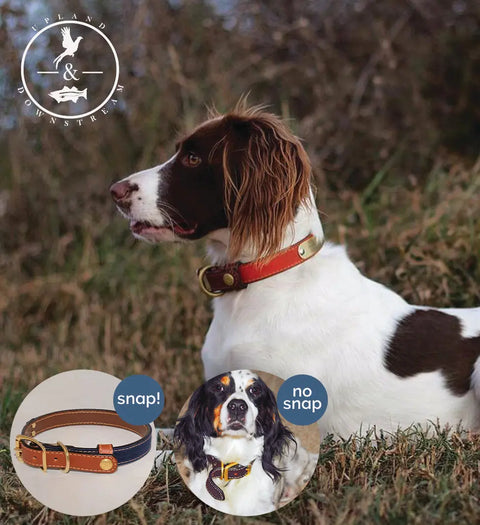 Upland & Downstream Tail Snap Dog Collar – Premium American Bridle Leather Field Collar | Made in USA Auburn Leathercrafters  item