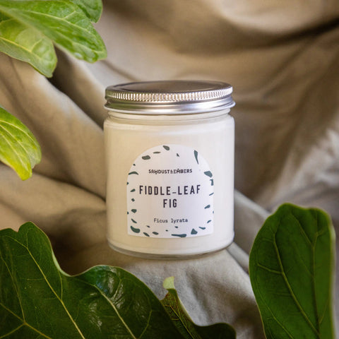Fiddle-Leaf Fig Scented Candle – Handcrafted Botanical Aroma | Made in USA Sawdust & Embers  Botanica Candles